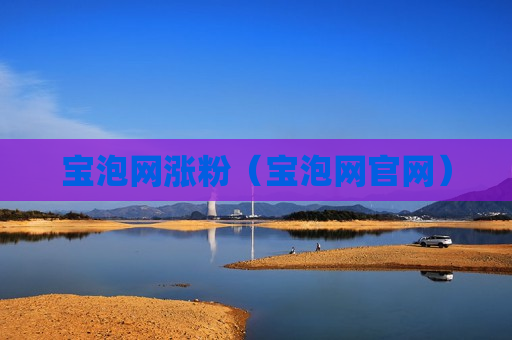 宝泡网涨粉（宝泡网官网）