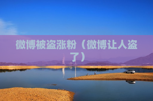 微博被盗涨粉（微博让人盗了）