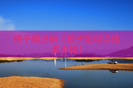 桃子帮涨粉（桃子姐可以赚多少钱）