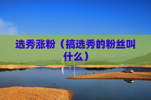 选秀涨粉（搞选秀的粉丝叫什么）