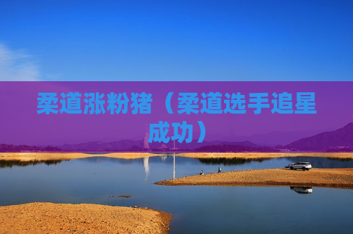 柔道涨粉猪（柔道选手追星成功）