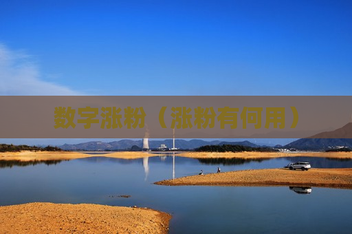 数字涨粉（涨粉有何用）