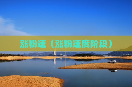 涨粉速（涨粉速度阶段）