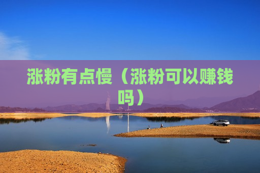 涨粉有点慢（涨粉可以赚钱吗）