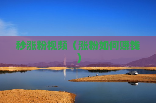 秒涨粉视频（涨粉如何赚钱）