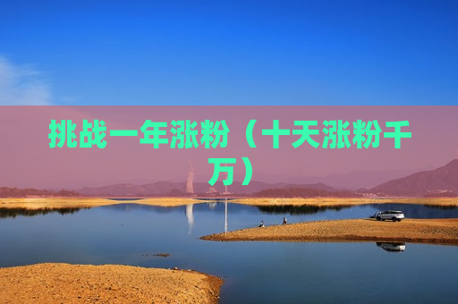 挑战一年涨粉（十天涨粉千万）