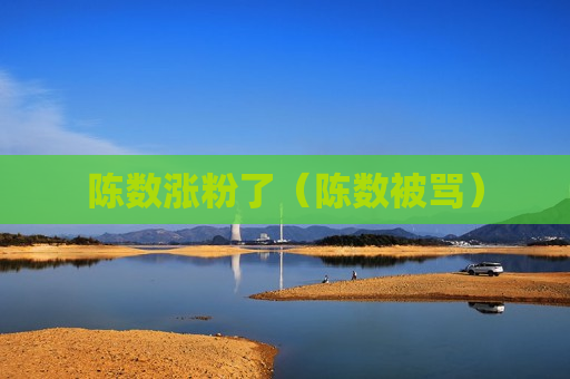 陈数涨粉了（陈数被骂）