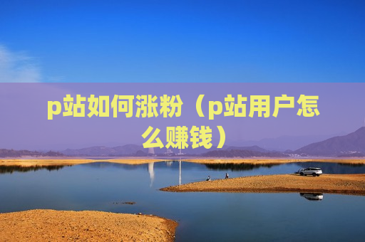 p站如何涨粉（p站用户怎么赚钱）
