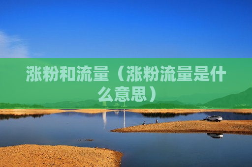 涨粉和流量（涨粉流量是什么意思）