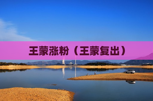 王蒙涨粉（王蒙复出）