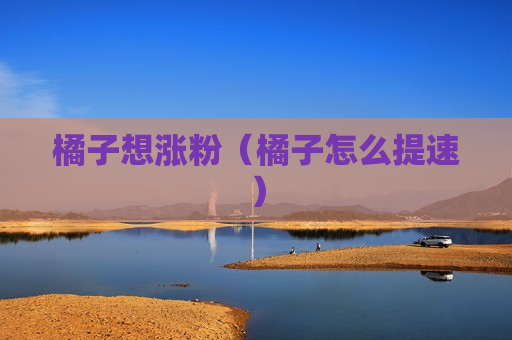 橘子想涨粉（橘子怎么提速）