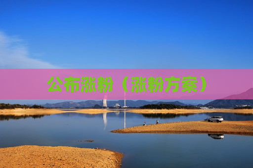公布涨粉（涨粉方案）