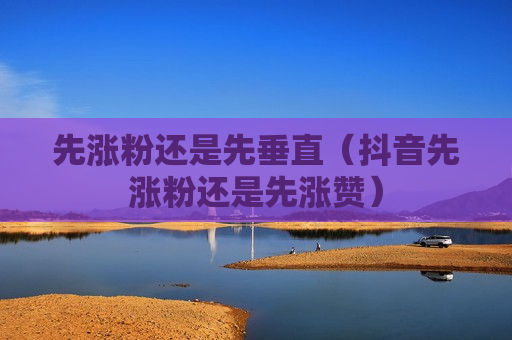 先涨粉还是先垂直（抖音先涨粉还是先涨赞）