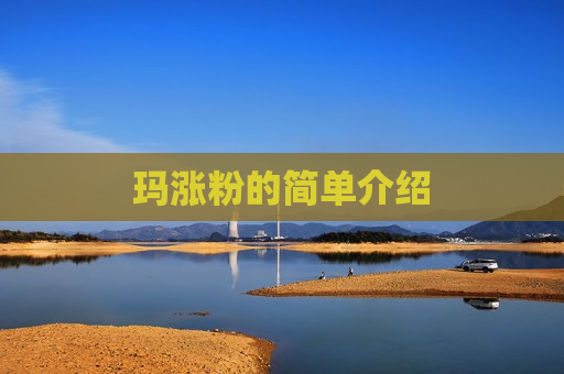玛涨粉的简单介绍