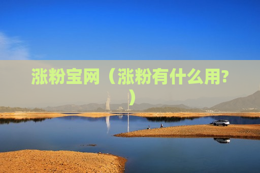 涨粉宝网（涨粉有什么用?）