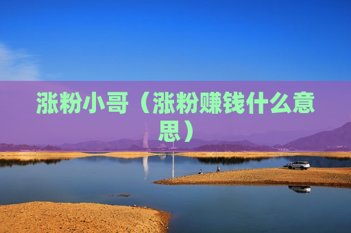 涨粉小哥（涨粉赚钱什么意思）