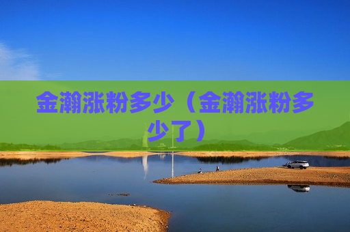 金瀚涨粉多少（金瀚涨粉多少了）
