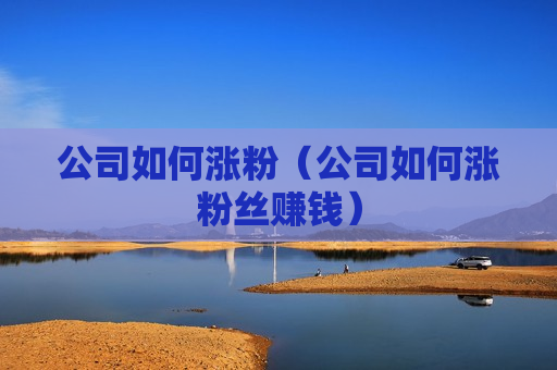 公司如何涨粉（公司如何涨粉丝赚钱）