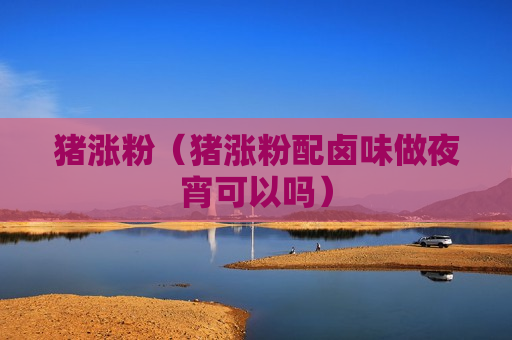猪涨粉（猪涨粉配卤味做夜宵可以吗）