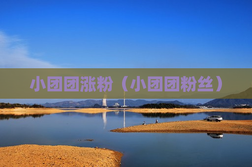 小团团涨粉（小团团粉丝）