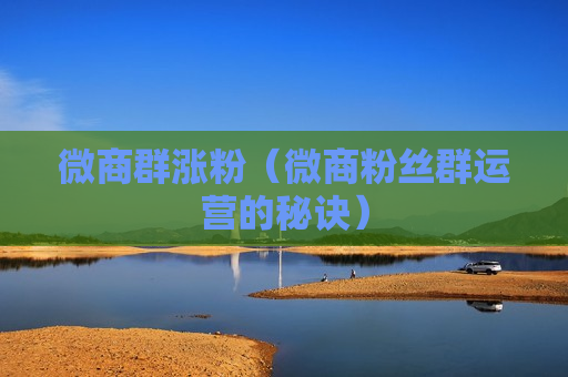 微商群涨粉（微商粉丝群运营的秘诀）