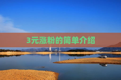 3元涨粉的简单介绍