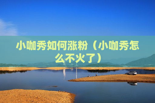 小咖秀如何涨粉（小咖秀怎么不火了）