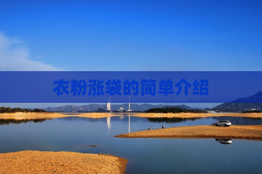 衣粉涨袋的简单介绍