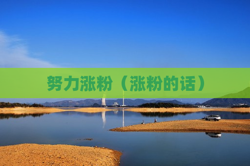 努力涨粉（涨粉的话）