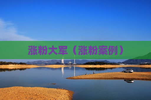 涨粉大军（涨粉案例）