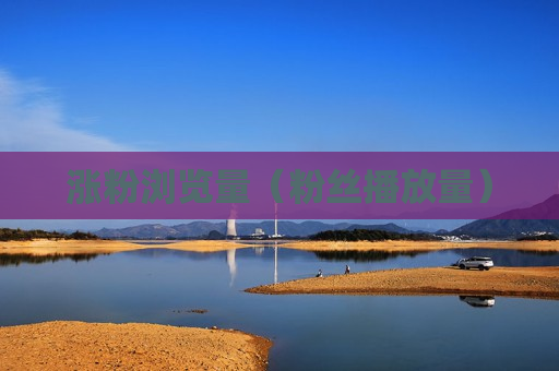 涨粉浏览量（粉丝播放量）
