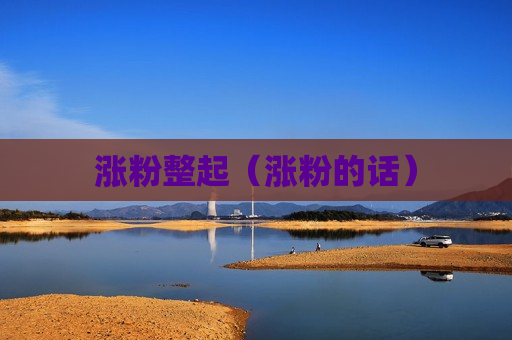 涨粉整起（涨粉的话）