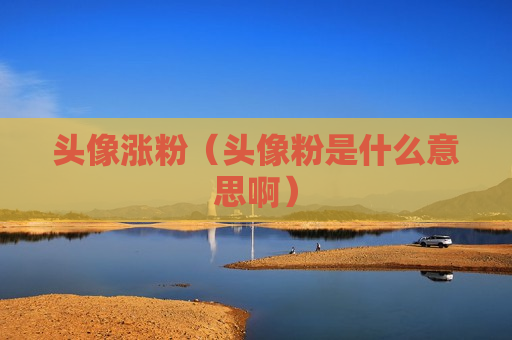 头像涨粉（头像粉是什么意思啊）