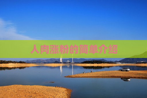 人肉涨粉的简单介绍
