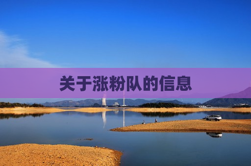 关于涨粉队的信息