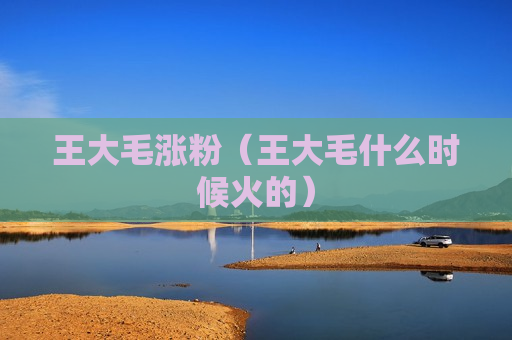 王大毛涨粉（王大毛什么时候火的）