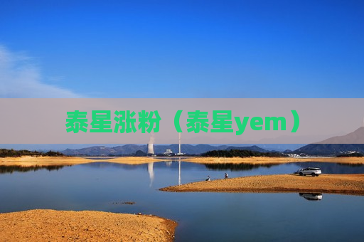 泰星涨粉（泰星yem）