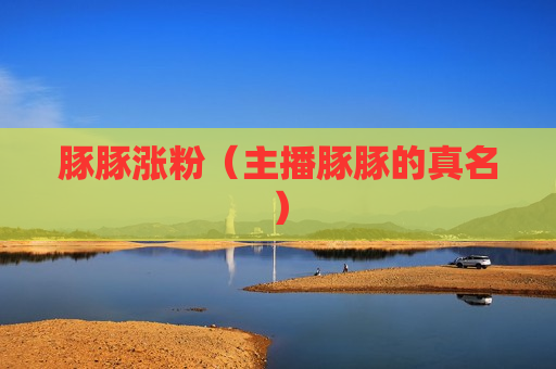 豚豚涨粉（主播豚豚的真名）