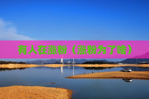 有人在涨粉（涨粉为了啥）
