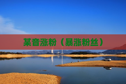某音涨粉（暴涨粉丝）