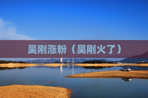 吴刚涨粉（吴刚火了）