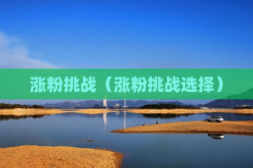 涨粉挑战（涨粉挑战选择）