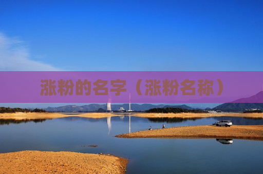 涨粉的名字（涨粉名称）