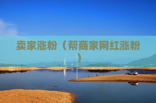 卖家涨粉（帮商家网红涨粉）
