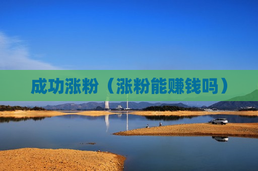 成功涨粉（涨粉能赚钱吗）