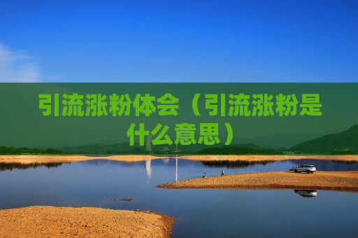 引流涨粉体会（引流涨粉是什么意思）