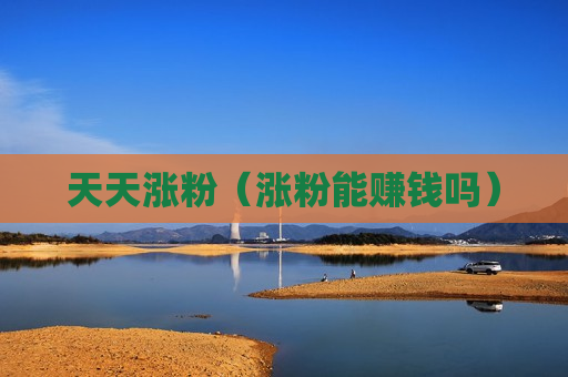 天天涨粉（涨粉能赚钱吗）