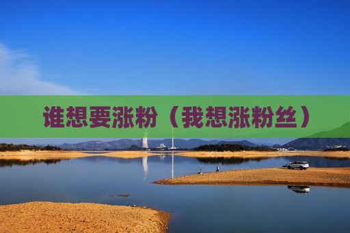 谁想要涨粉（我想涨粉丝）