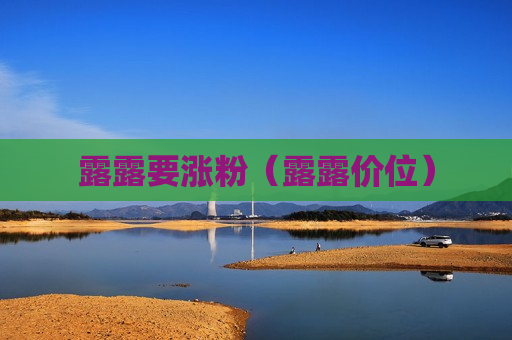 露露要涨粉（露露价位）