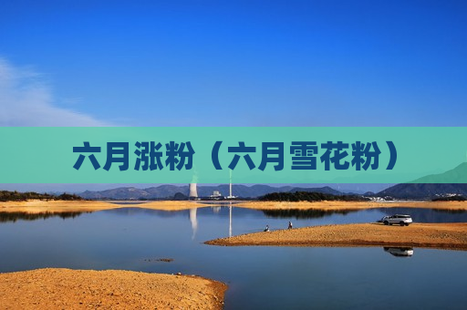六月涨粉（六月雪花粉）